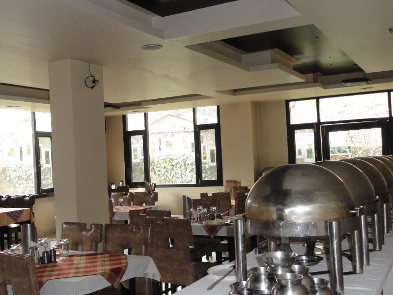 Hotel Park Paradise Manali มะนาลี ภายนอก รูปภาพ